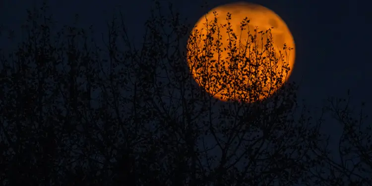Ανθρωπολατρεία και Παγανισμός: Τι κρύβεται πίσω από το Halloween;