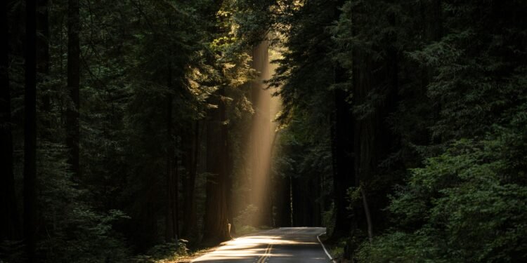 Demon Slayer: Υπάρχουν καλοί και κακοί δαίμονες;